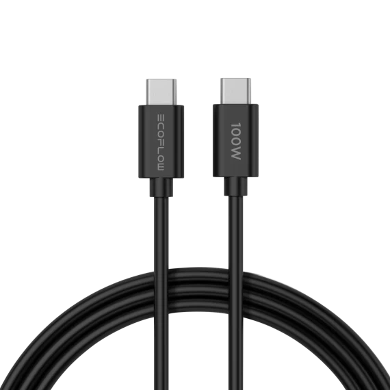 Ładowarka Sieciowa GaN EcoFlow Rapid 65 W + kabel USB-C 100 W